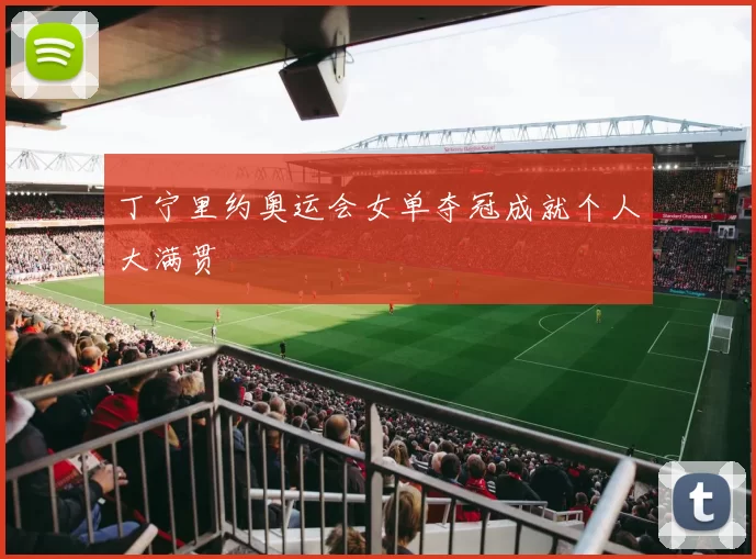 丁宁里约奥运会女单夺冠成就个人大满贯